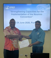 Noumea Convention work