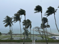 Climate scholarships 