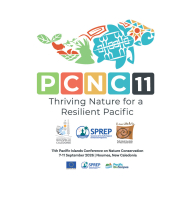 The PCNC 11 logo 
