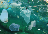 marine plastic litter