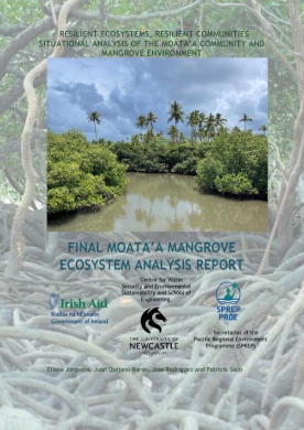 analysis-report-mangrove-ecosystem-samoa