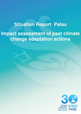 Palau-GIS-report