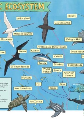 pacific-ecosystem-poster