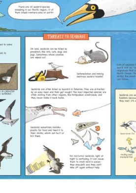 seabirds-poster