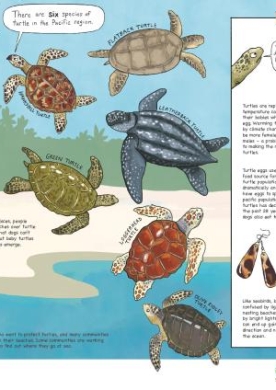 turtles-poster