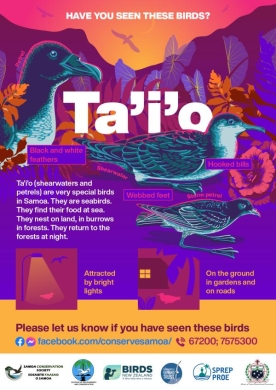 taio-poster