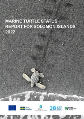 marine-turtle-report