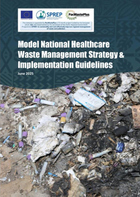 ModelHCWMStrategyGuidance