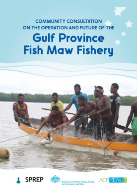 Fish-Maw-fisgery-Gulf-province