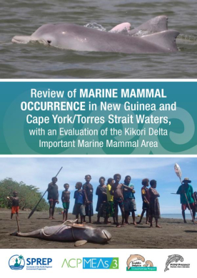 SPREP-Marine-Mammal-Occurance-in-New-Guinea