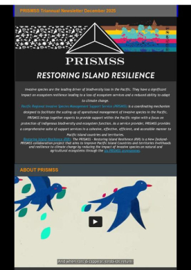 PRISMSS Triannual Newsletter December 2025