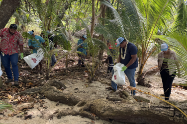 Wallis and Futuna clean up