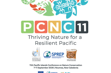 The PCNC 11 logo 