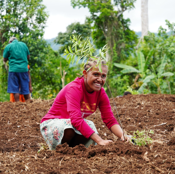 Native tree replanting during the PEBACC+ Learning Event in Vanuatu, November 2025.