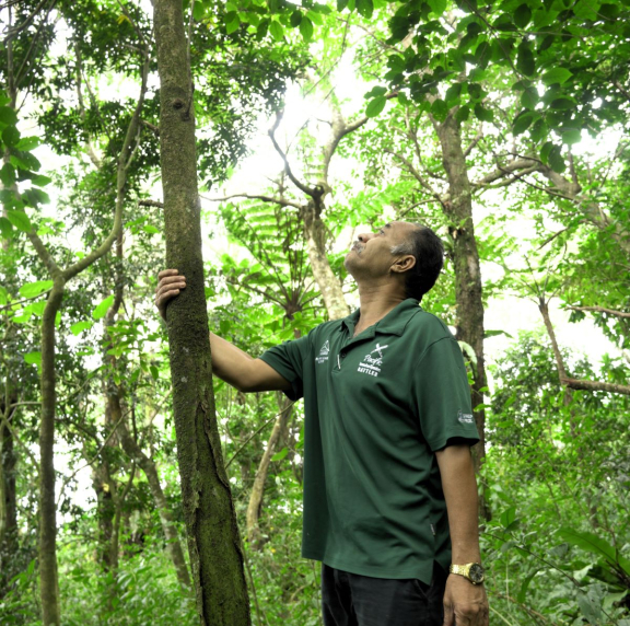 Eua National park 