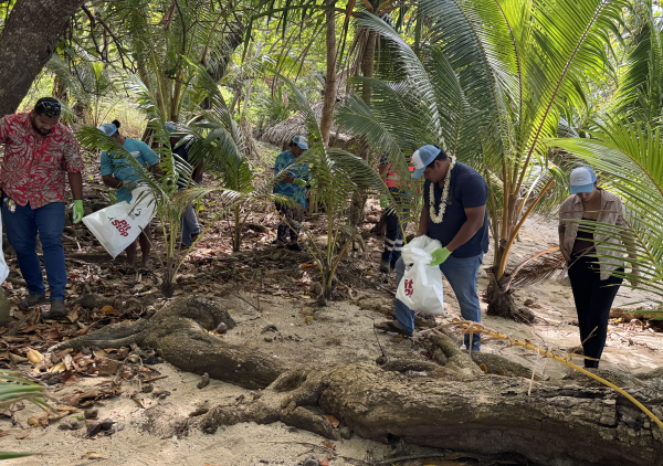 Wallis and Futuna clean up