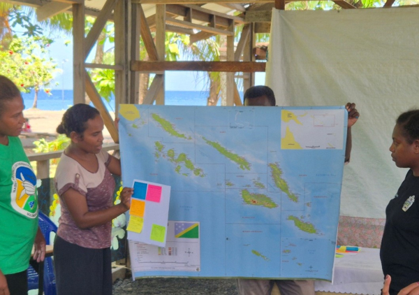 Pacific sea turtles Solomon Islands
