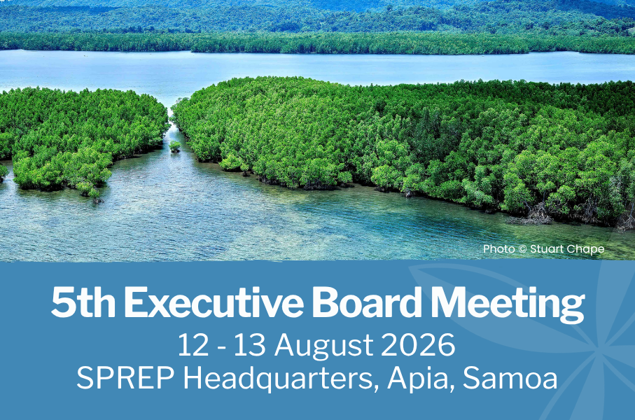 5th Executive Board Meeting