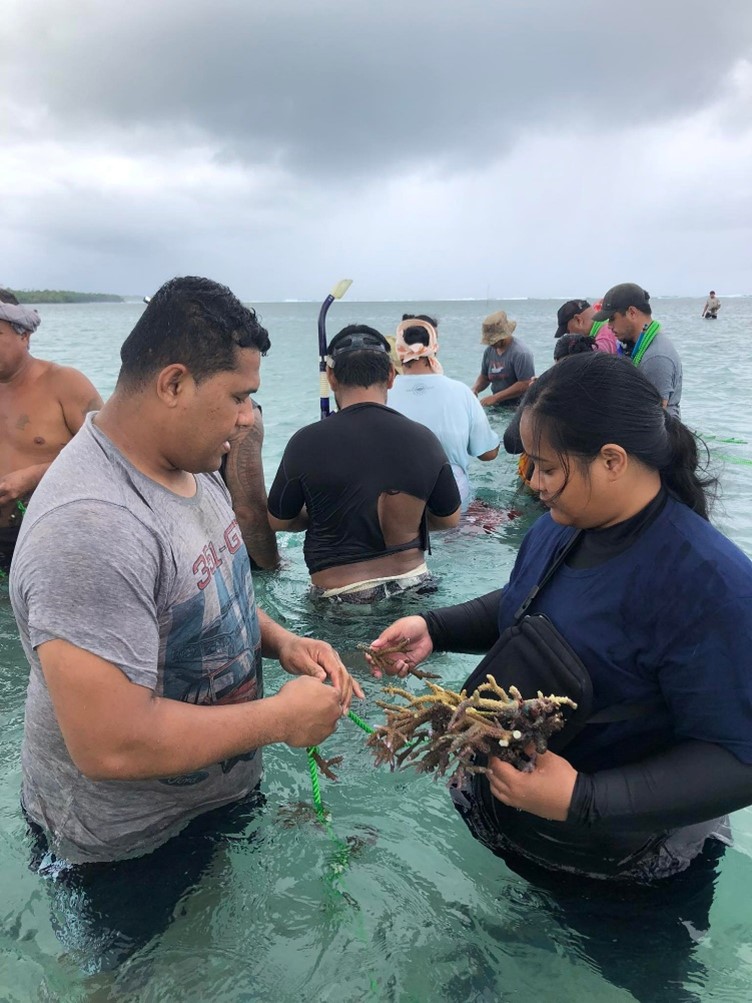 Vaitoomuli community working on coral fragments 