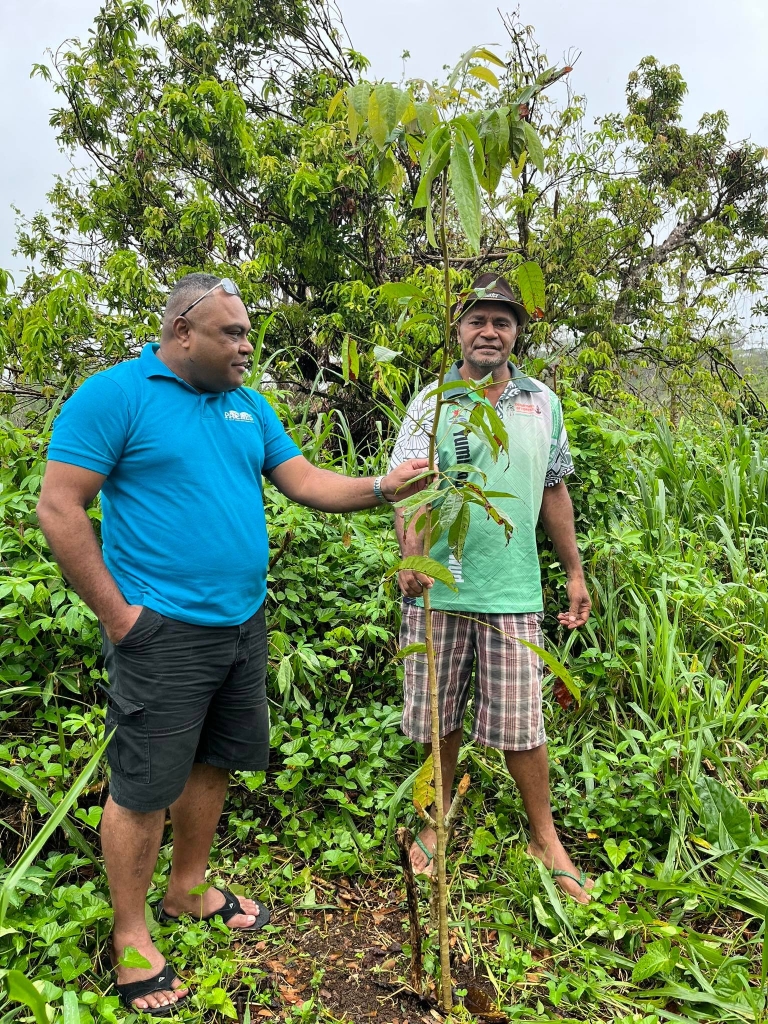 The work to improve ecosystem at the Tagabe river 