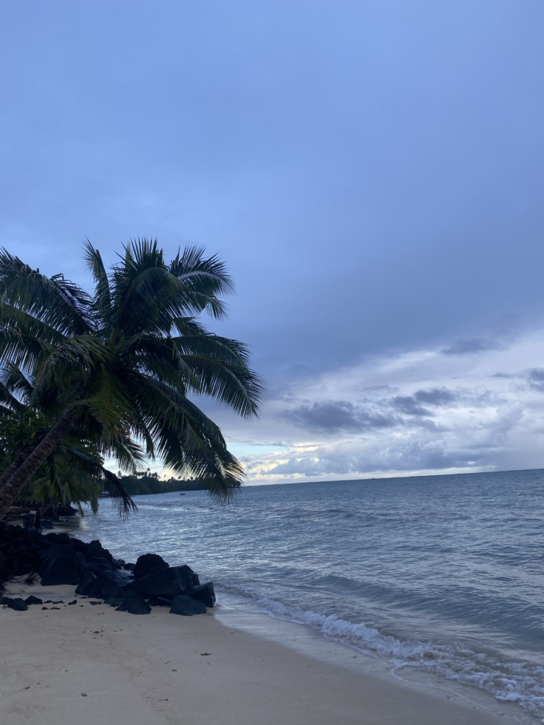 Our pristine Pacific ocean 