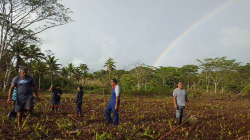 Planting the ufi