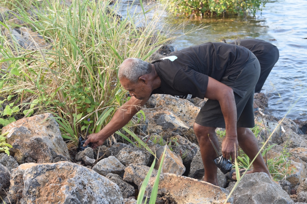 Project Inception Workshop representatives spent the afternoon transplanting native tree seedlings and replanting mangroves in Taveuni.