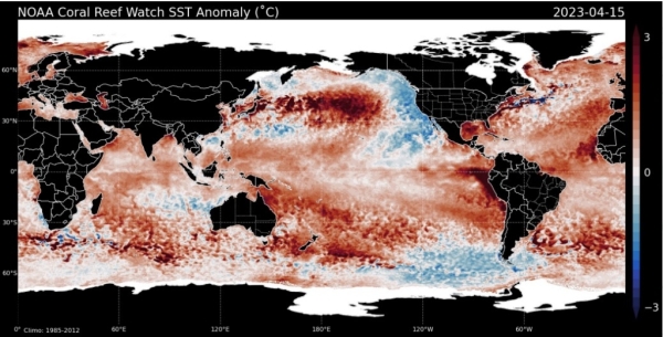 Sea surface temperatures 