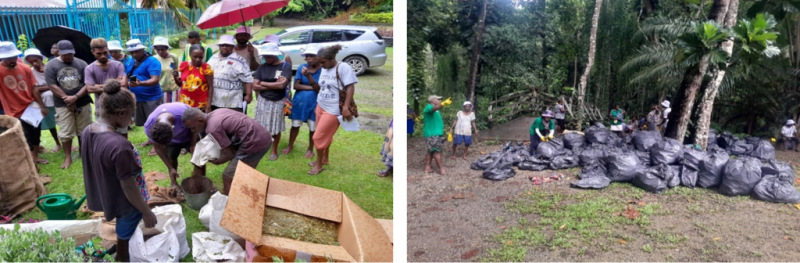 Solomon Islands P{EBACC+