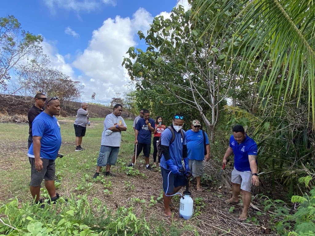 Palau War On Weeds3