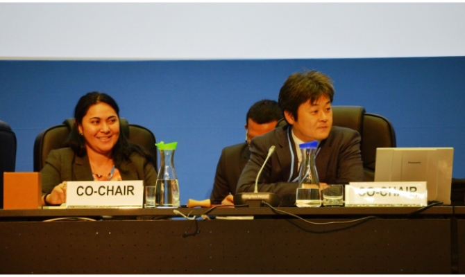 Ms Rasmussen co-chairing agenda items under the SBI at COP18 in 2012.
