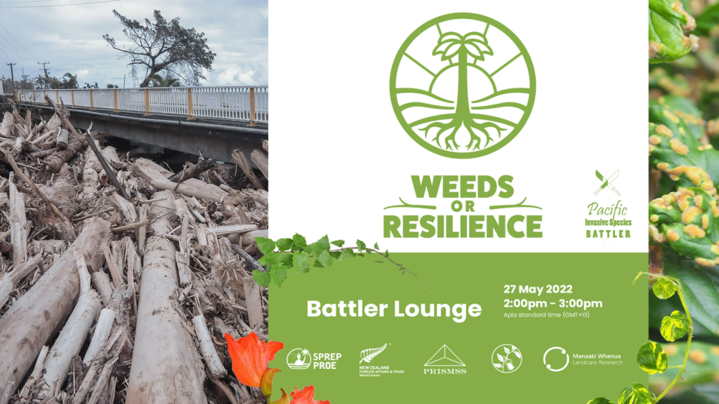 Weed or Resilience Poster